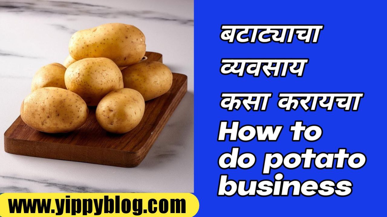 How to do potato business