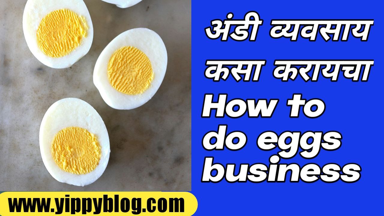 How to do eggs business